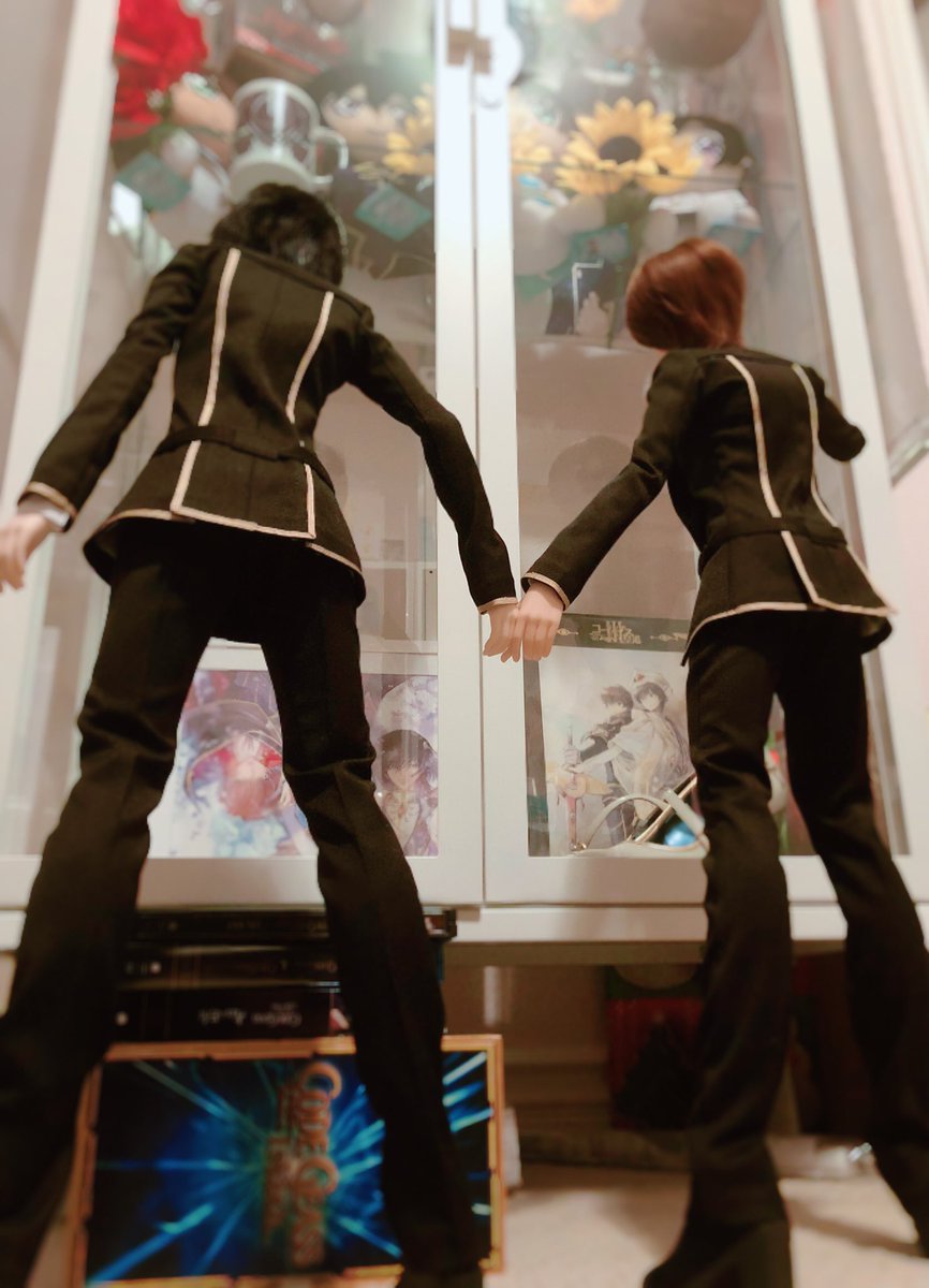 Suzaku doll leading Lelouch doll to a glass ikea case