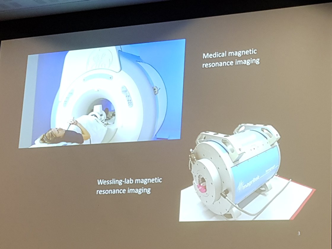NMaRion_G's tweet image. #MRI as a novel tool to look into flow in water filtration membranes with &apos;membrane doctor&apos; Denis Wypysek @RWTH 🇩🇪. An elegant diagnostic tool for membrane fouling #IMSTEC2020🇦🇺