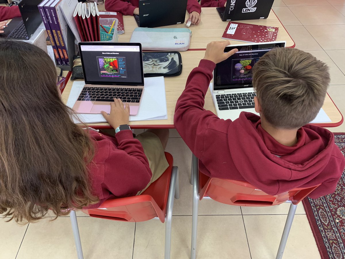 Year 6 are struggling to comprehend the size of microbes. There are more micro-organisms in your mouth than there are people in the world #fact <a href="/VHPS_Science/">Science | Victory Heights Primary School</a>