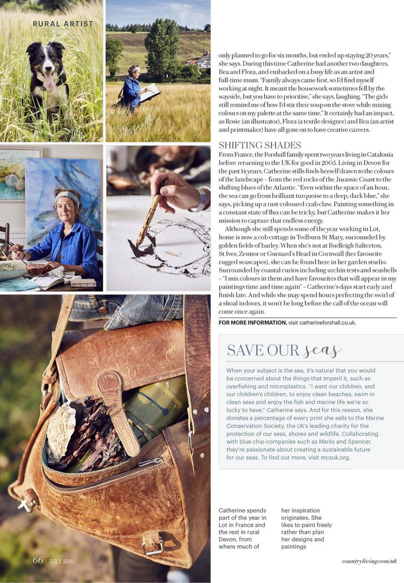 Learn more about painter Catherine Forshall and the beautiful work she creates. 
#britishart #painting #natureart #rural #arts #fineart 

buff.ly/3aQwLcL