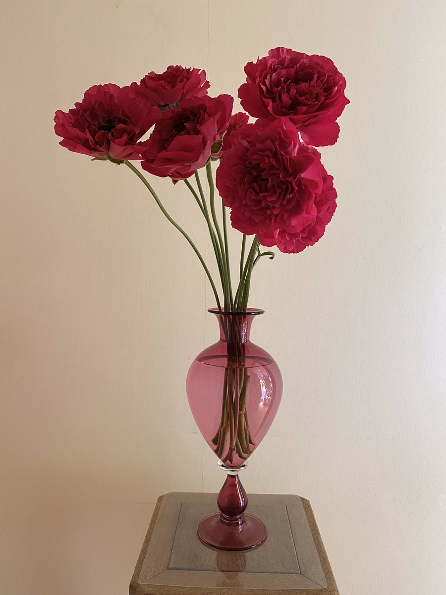 安野モヨコ 今週のお花 ラナンキュラス シャルロットピンク 華やかな紅のラナンキュラス 器の色とリンクして まるで 花瓶から色を吸って咲いたようです モヨコ T Co Ruc0tive3w Twitter