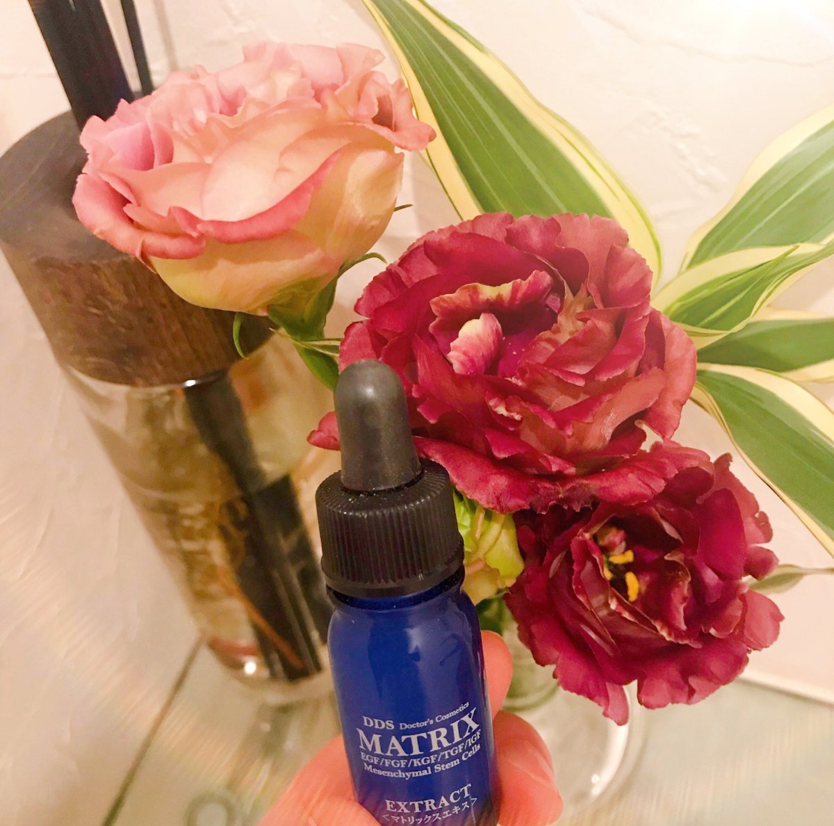 アイテック 幹細胞