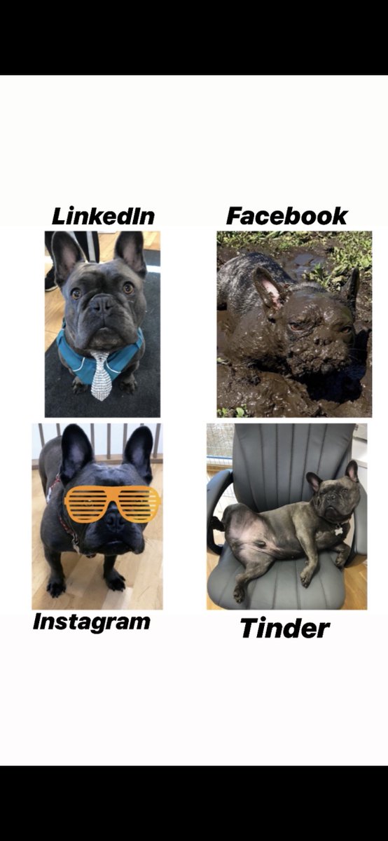 Get social with us!
Make sure you are connected on all platforms to keep up to date with all things PB. 

 #dollypartonchallenge  #bearthepbdog  #pbrecruitment  #Facebook  #instagram   #asbestos  #finance  #accountancy  #officesupport  #hr