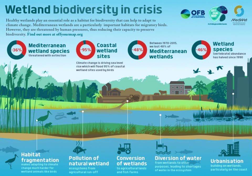 MuesaU's tweet photo. Theme: Wetlands and Biodiversity
#WorldWetlandsDay https://t.co/iNlj0aknyF https://t.co/lQSxZz3Siu