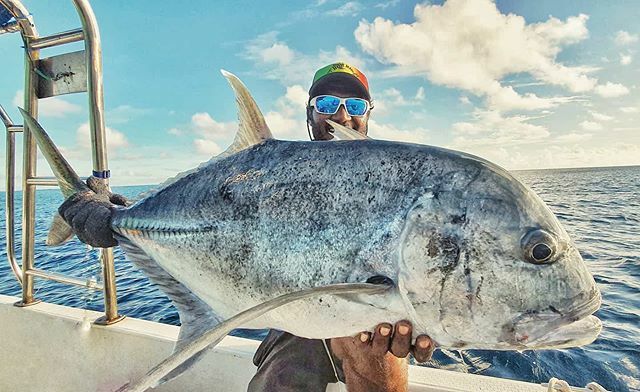 shenvyl's tweet photo. Desire! 
@bobmarlingear @kbeanglershub @costadelmar.mv @shopngo.mv @hanta.rods.and.lures 
#maldives #adduatoll #bobmarlingear #OneLoveForFishing #kbeanglershub #costadelmar.mv #topwateraddict #rodarmour #Lightislife #fishingaddict #hantarodsandlures #tas… https://t.co/EaglvB6Kq4 https://t.co/vhcnAvMTZH