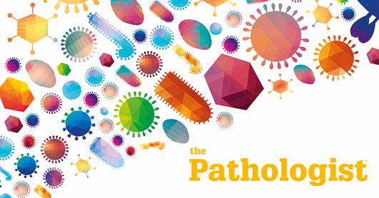 ESDIPatho's tweet photo. We are excited to announce that we will be working with the @pathologistmag – don’t forget to pick up a free copy of their magazine at #ECDP2020 #pathology #pathologist #digitalpathology #computationalpathology https://t.co/m2vN7w34Hk