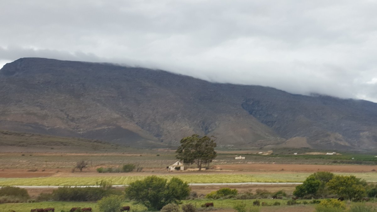 Reminiscing about the beautiful rural scenery this December holidays between #Montagu and #Barrydale. #southafricanroadtrip #naturelovers