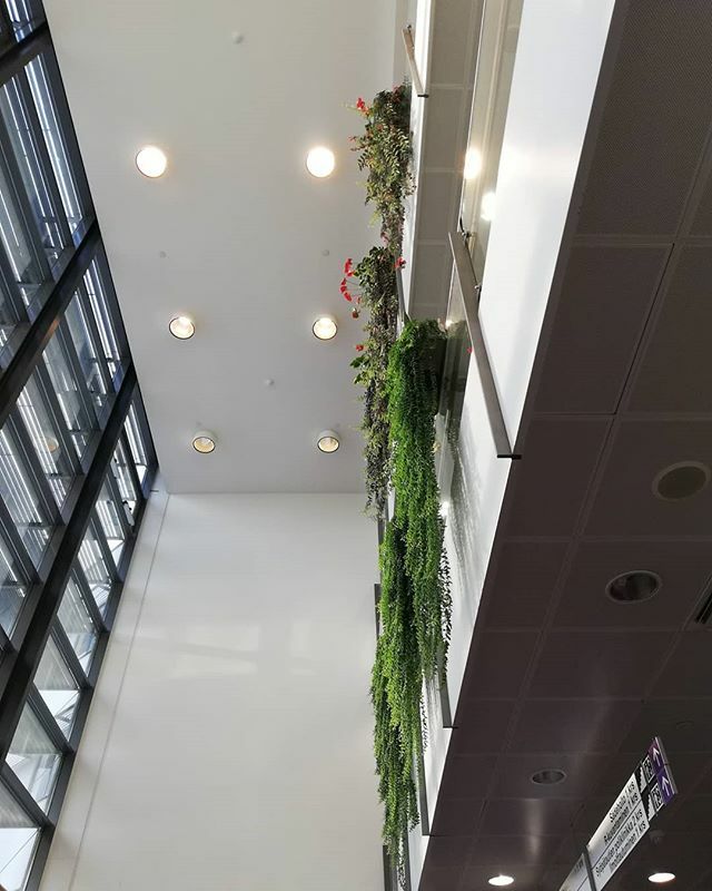 Täällä sitä taas, joka päivä.
#tays #syöpä #sairaalaelämää <a href="/tays_sairaala/">Tays</a> ift.tt/2v1qlXS