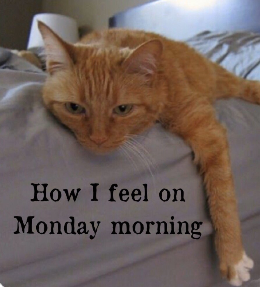 GalaxySRDR's tweet photo. Good Morning, do you agree with this photos? 
#goodmorning #MondayMood #MondayMotivation #MondayVibes #MondayMorning #mondaythoughts https://t.co/8PjQobyOpY