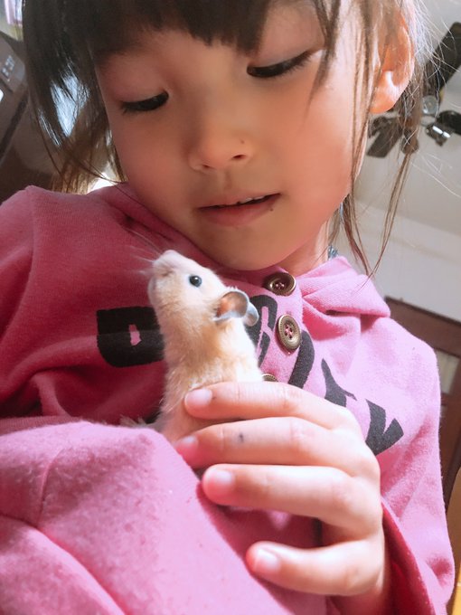 Twitterのコスプレ画像12