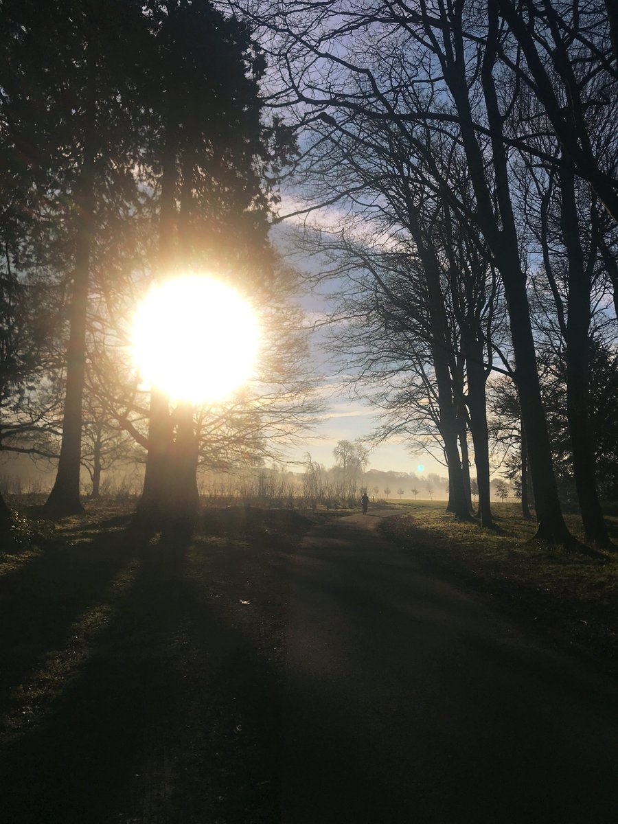 AWapartments's tweet photo. A beautiful morning walk into work through Bute Park just a 5 minute walk from our Fitzhamon apartments! #visitcardiff #Butepark https://t.co/nioRr8YHVK