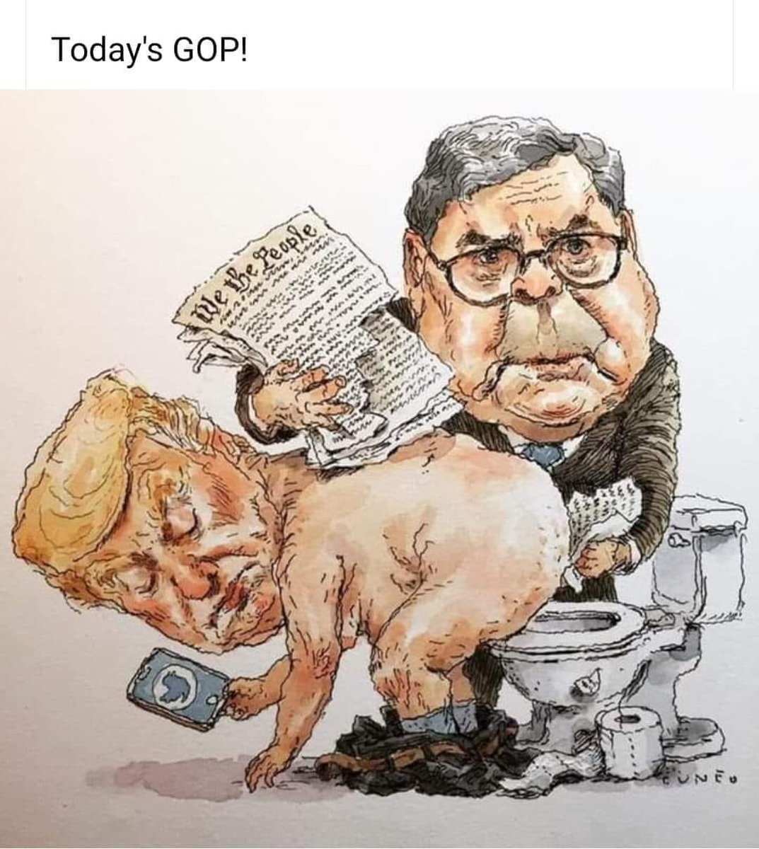 NEVmomof3's tweet photo. @ScottPresler @realDonaldTrump #IdiotInChief #RepublicansForImpeachment #ConvictAndRemoveTrumpNow https://t.co/juxwirKOBl