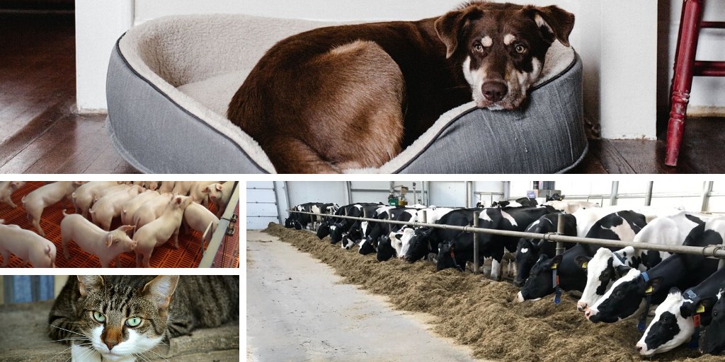 BioFeed4 tweet picture