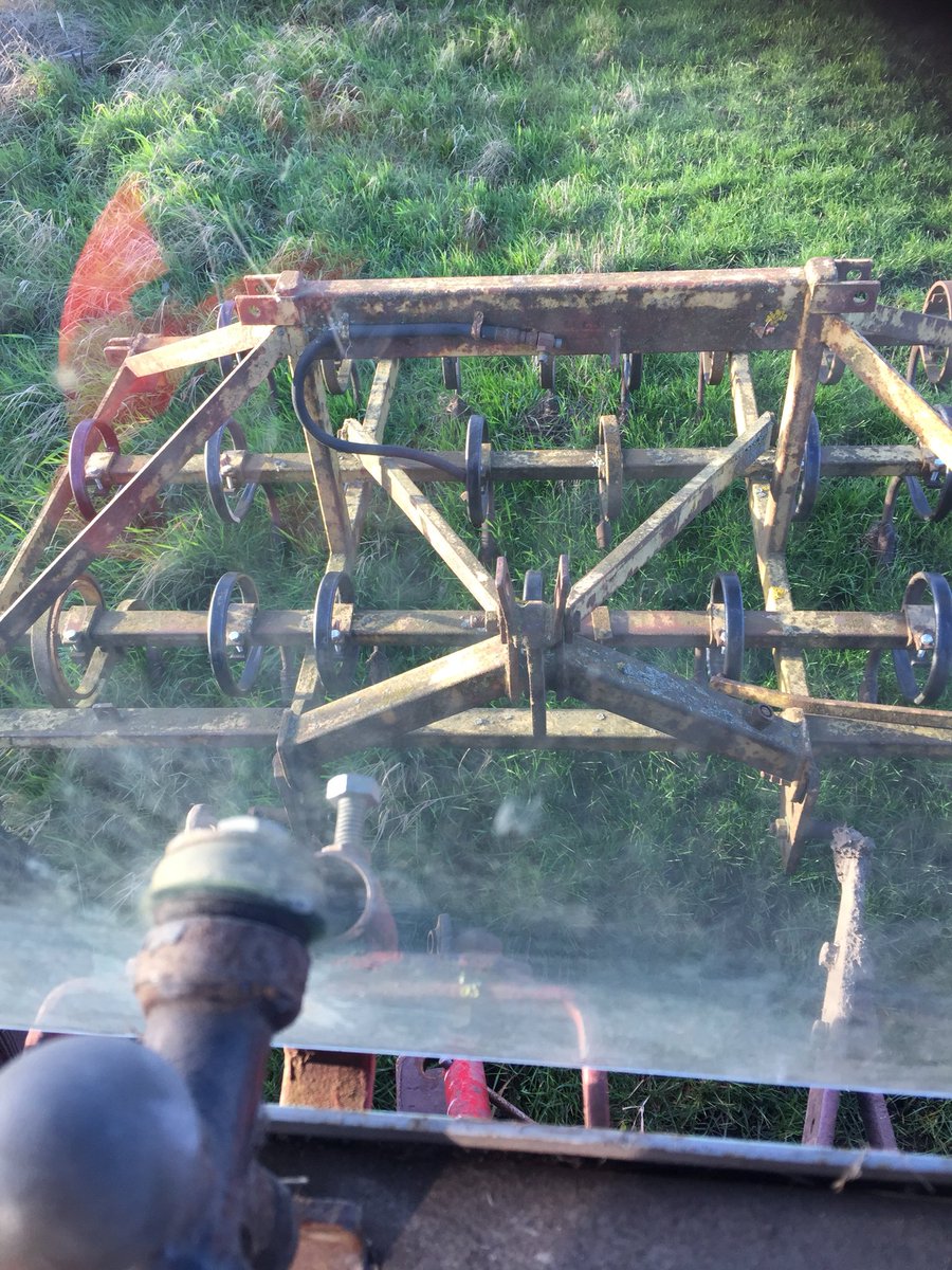 Land dry enough to harrow. Should get some broad beans in today and some land ready for parsnips.