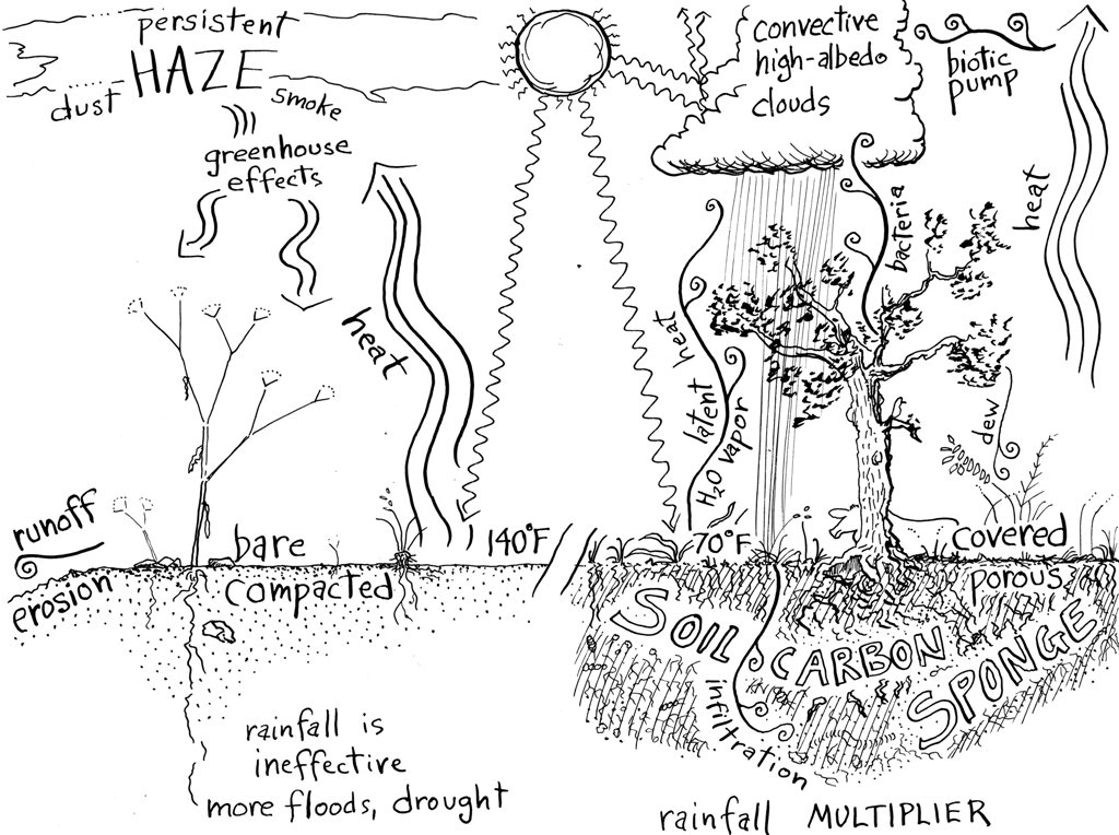 SoilsforLife's tweet photo. Bec Horridge talks to soil scientist Walter Jehne and campaigner Cindy Iritz. They are two climate activists in demand overseas with a proposal.
https://t.co/LxK0Bs82C7
#naturalsequencefarming #regenerativeagriculture https://t.co/esykbbm674