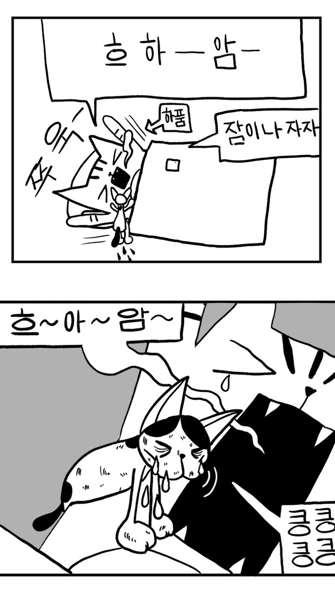 우리집 고양이 그도 처음부터 귀여운 건 아니었다 2 