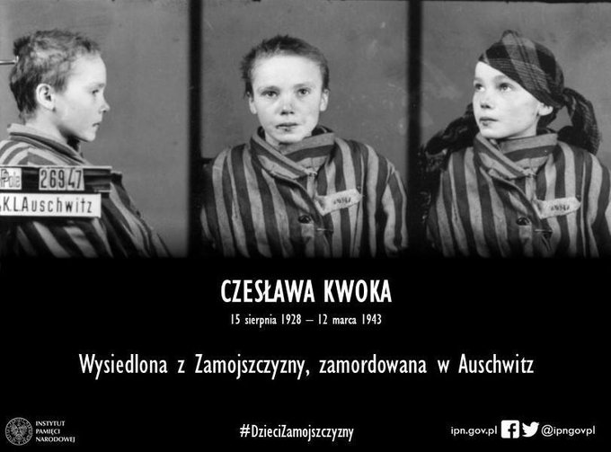 @VanDerSal998 @ipngovpl 14 l. dziewczynka - symbol martyrologii #Zamojszczyza- Czesława #Kwoka - numer obozowy 26947
#DzieciZamojszczyzny #NiemieckieZbrodnie #NiemieckaOkupacja