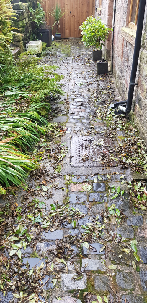 Does your garden look like this?
We can clean and restore any exterior surface, removing moss and lichen in no time, totally transforming the exterior of your property💦🏚🏠
Get intouch for more information and a free quote✔️🏡07379947020   #dynamicpws#pressurewashing#mossremoval