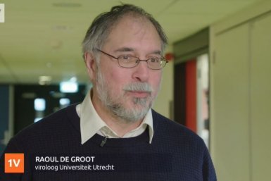 Martina O'Flaherty tweet media