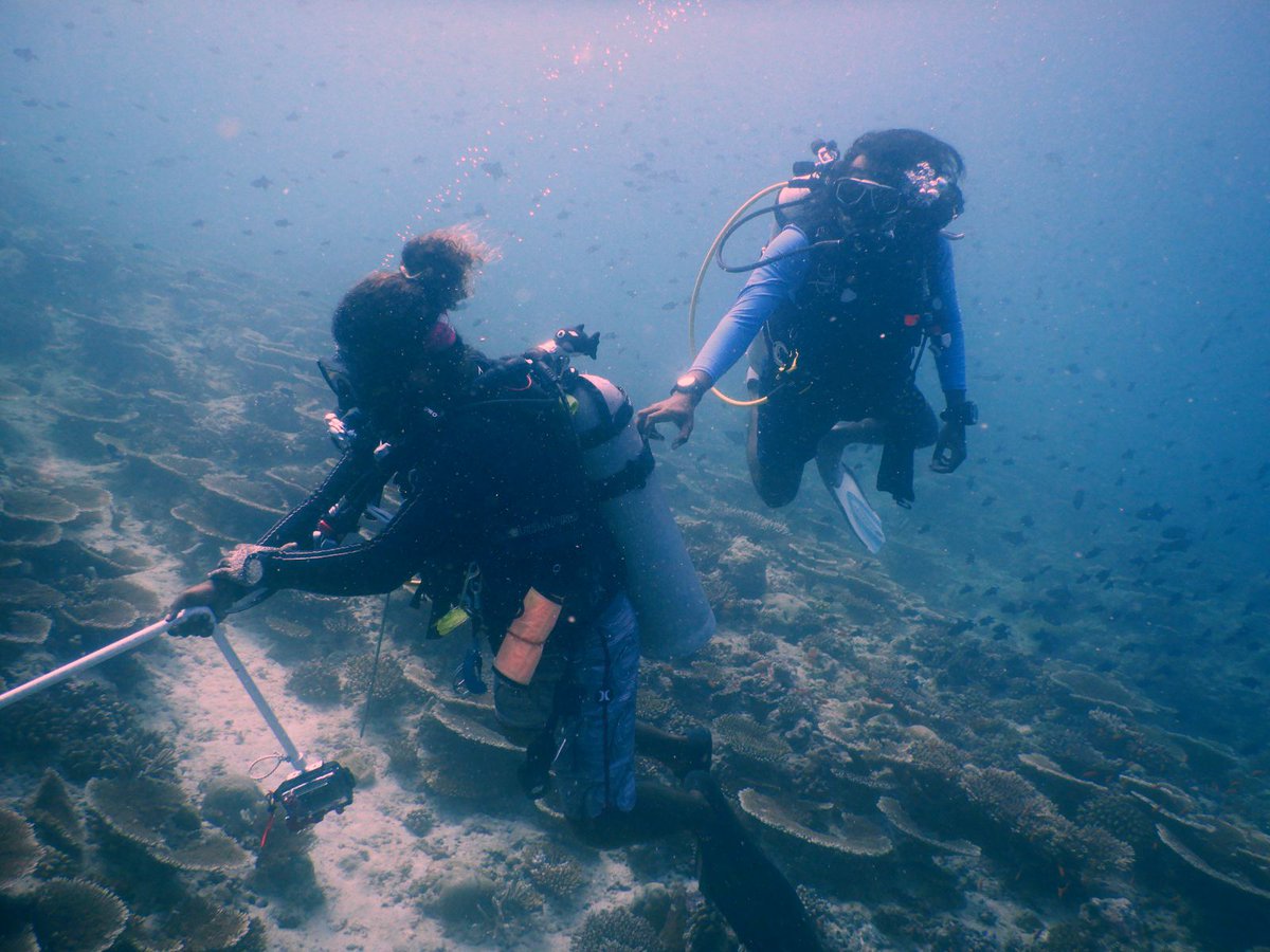 Huvadhu, Fuamulakh, and Addu atoll will be surveyed in an upcoming expedition to complete coverage of the country.The data collected will be utilised to help design and inform the the nation's marine spatial plan & the government's pledge to #blueprosperity. 
#kandufalhudhiraasaa