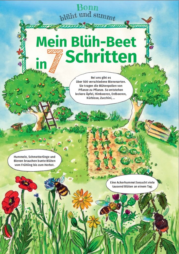 Die Initiative „#Bonn blüht und summt“ hat einen neuen Flyer: 
„Mein Blüh-Beet in 7 Schritten“ herausgegeben von <a href="/BonnimWandel/">Bonn im Wandel</a> e. V. mit Förderung der <a href="/BundesstadtBonn/">Bundesstadt Bonn</a> 
Er zeigt in bunten Bildern die wichtigsten Schritte zum Anlegen von Blühstreifen.
bonnimwandel.de/mein-blueh-bee…
