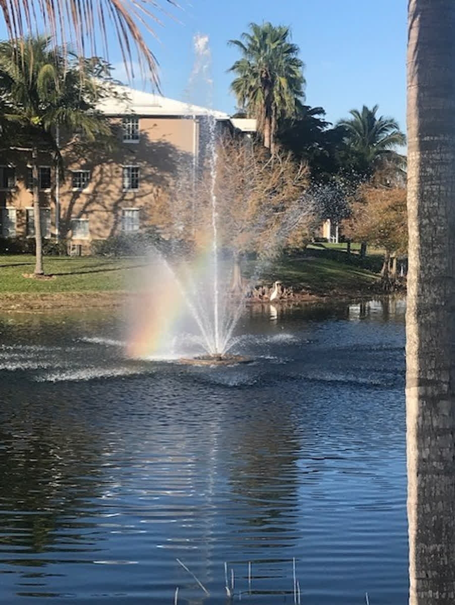 Promenade2-3 View.jpg