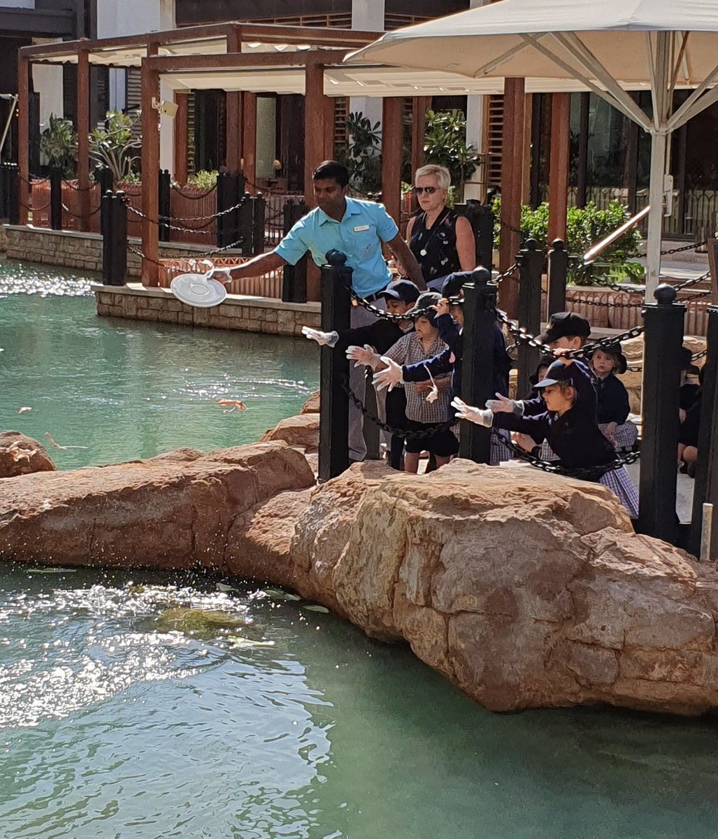 FS1 | Dubai British School tweet media