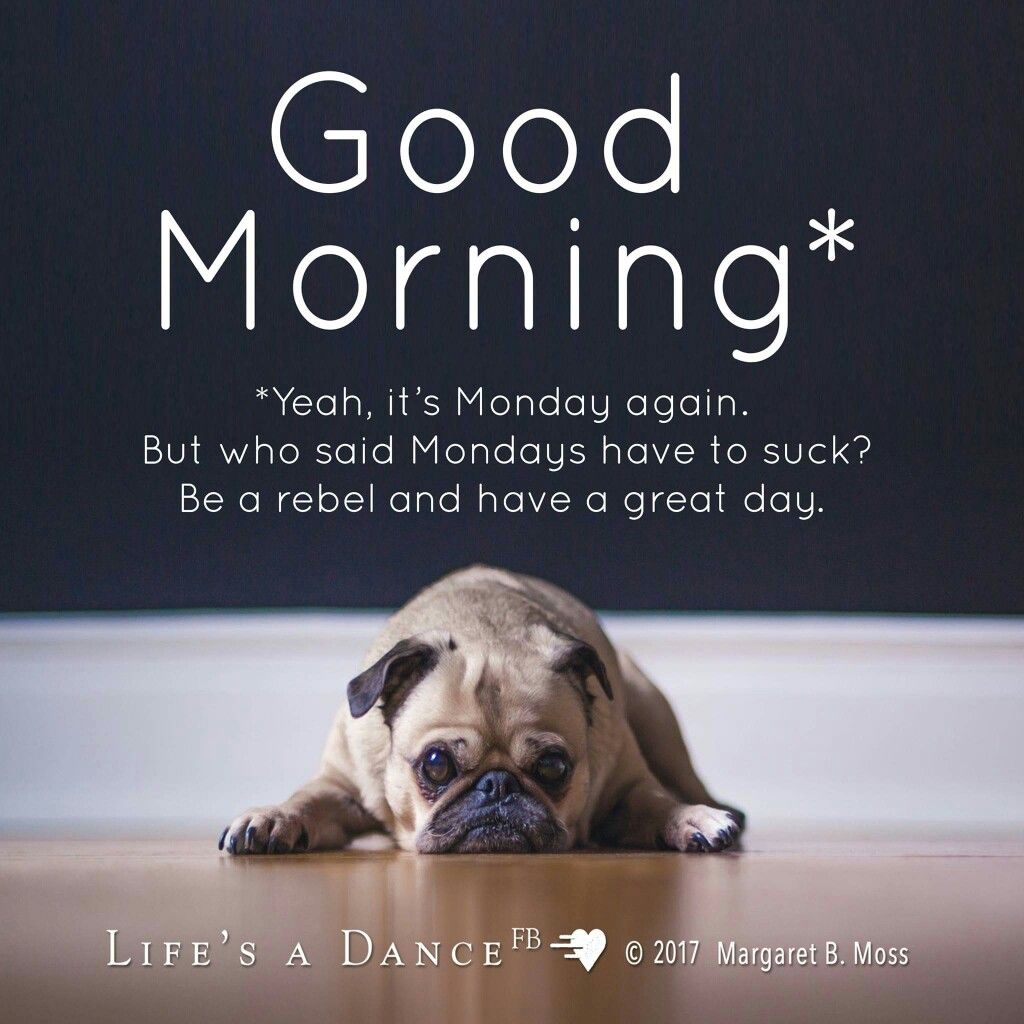 BrwnEnt's tweet photo. Have a Great Day #MondayMotivation #BrwnShuga https://t.co/lvoTAHOOiu