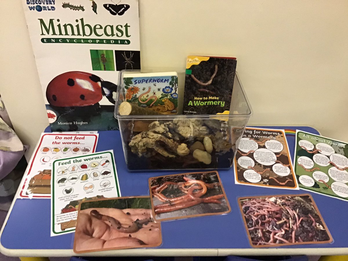 Grasmere_EYFS's tweet photo. All things Mini beasts in EYFS @GrasmereAcademy https://t.co/r3OQN8Xuey