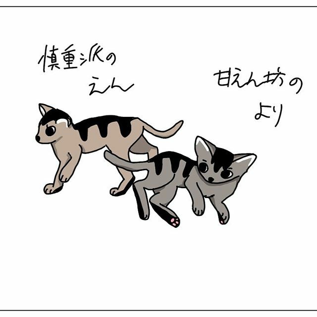 AM800_cats's tweet photo. 兄弟猫だし見た目そっくりだけど、性格が全然違うんだなぁ。

#初め見分けがつかなかった　#性格が正反対で笑う　#それぞれの可���さ
#いらすとぐらむ #兄弟猫部 #ほごねこ #ねこすきさんと繋がりたい https://t.co/hGRuZDTz8D https://t.co/RO0xxBZc50