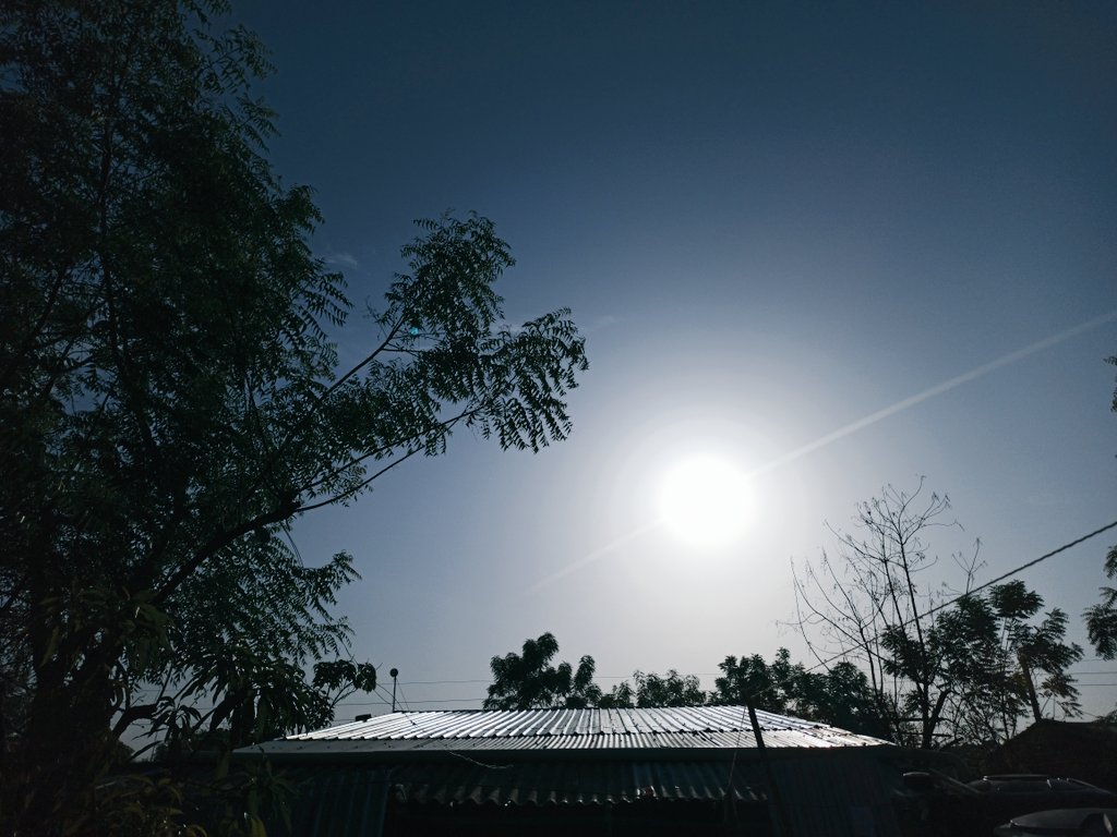 laramjo's tweet image. 