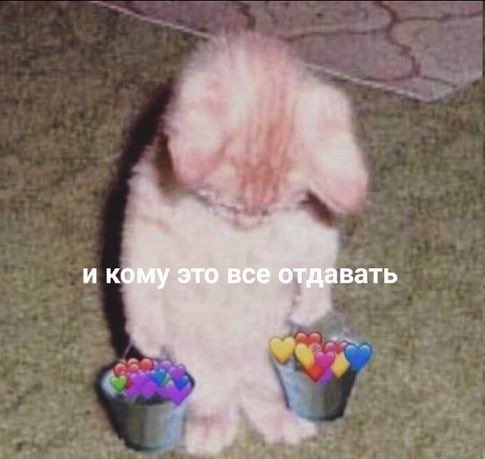 treschenko24's tweet photo. Ты: следующее 14 февраля точно проведу не в одиночестве 

*14 февраля кродётся

Ты: https://t.co/ENuB28ncMO
