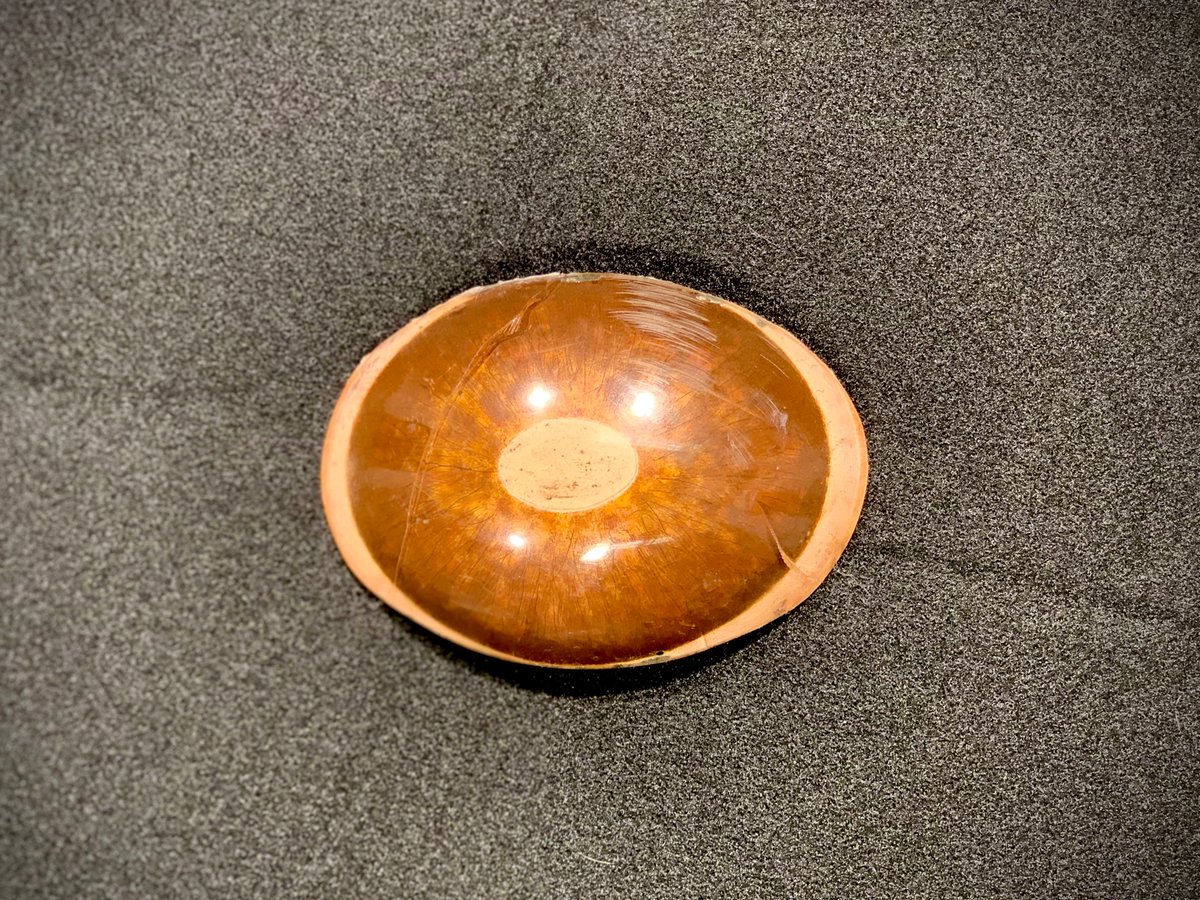 A plexiglass whale eye model on a black backdrop. The eye is an oval shape and has a large brown iris with a beige-colored pupil in its center. 