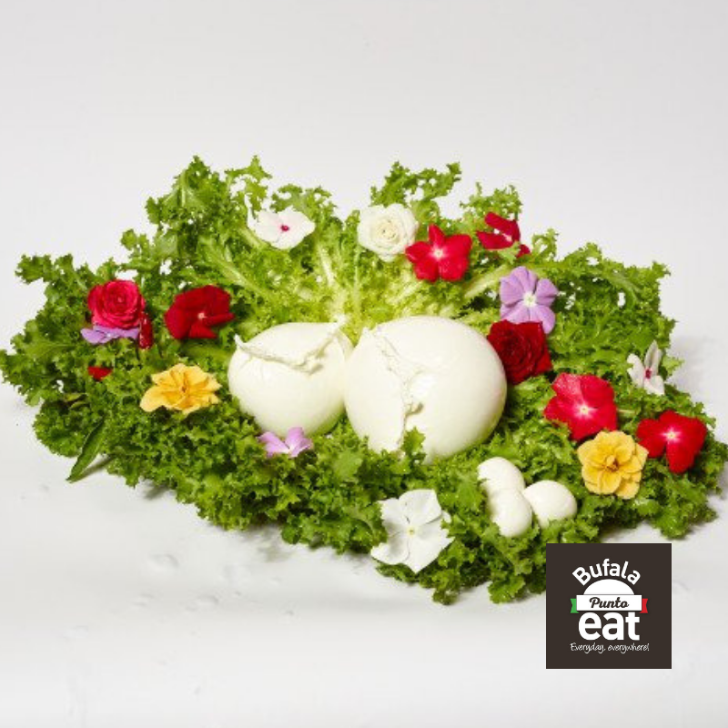 Semplice e buono come la tradizione del #Cilento ci insegna! #BufalaPuntoeat la vuole portare in tutte le città d'Italia!
Il nostro franchising? Per un periodo limitato puoi aprire con prezzo scontato del 50%! Affrettati!
info@nuoveagenzie.com