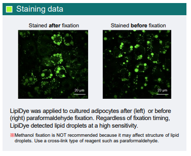 2BScientific's tweet photo. LipiDye: a highly sensitive, novel fluorescent dye for detection of lipid droplets from @Funakoshi_CoLtd!
Find out more here: https://t.co/380FlZQWJO #lipidye #funakoshi #microscience https://t.co/knnL2WJSeG