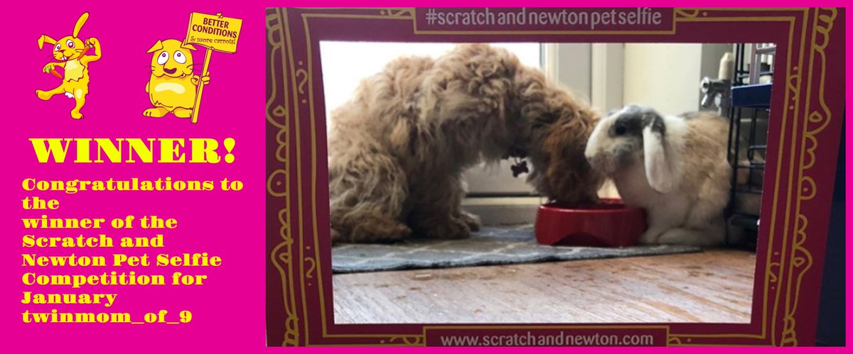 scratchnnewton's tweet photo. Congrats twinmom_of_9
Send us your shipping details and we will send out your goodies! 🐰 #winner #bunnies #rabbits #cute #love #competition #petselfie https://t.co/IURmtx2y9s