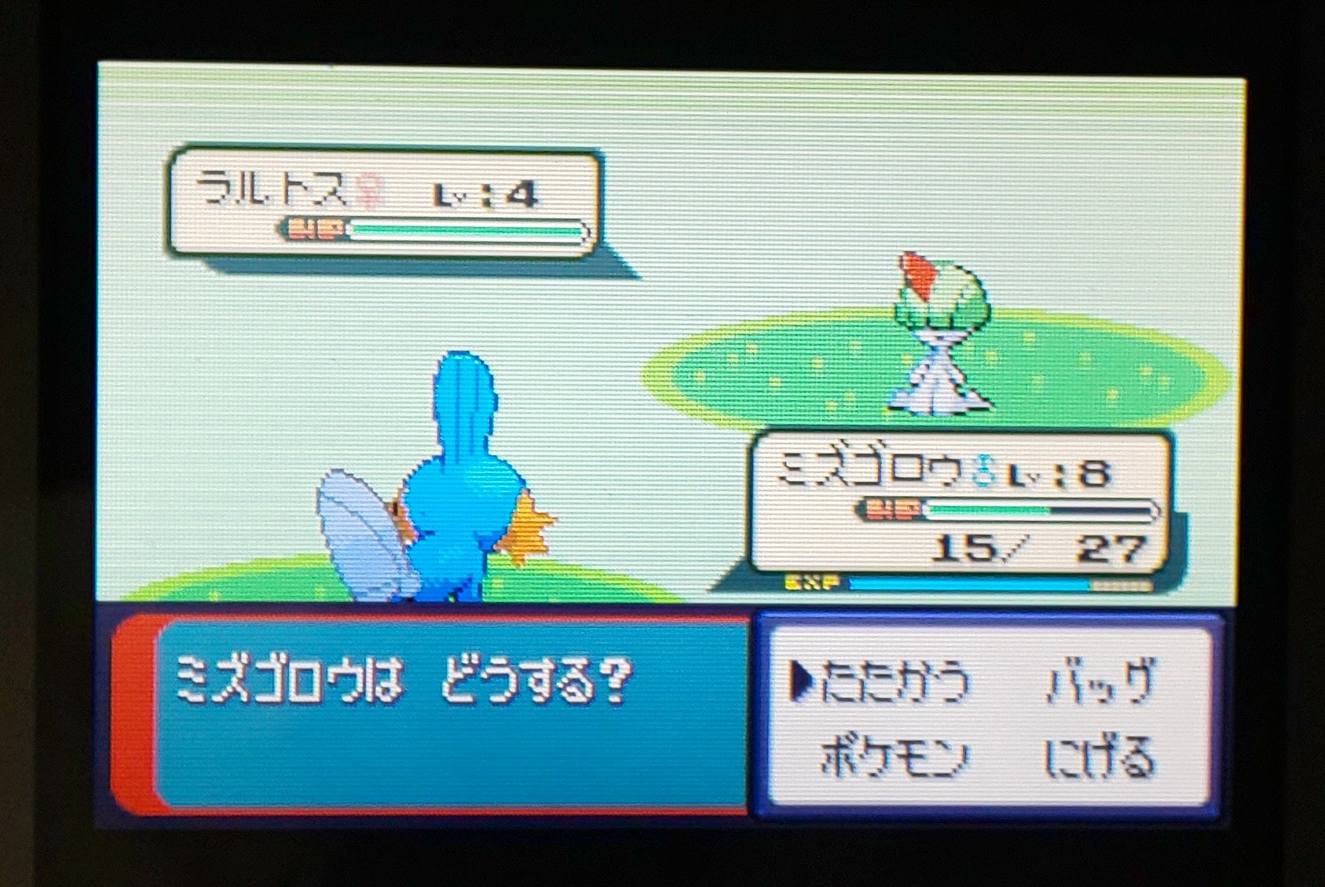 猫丸又三郎 いくぜカナズミジム まりなのポケモンレポート T Co Efe0acaqlh Twitter