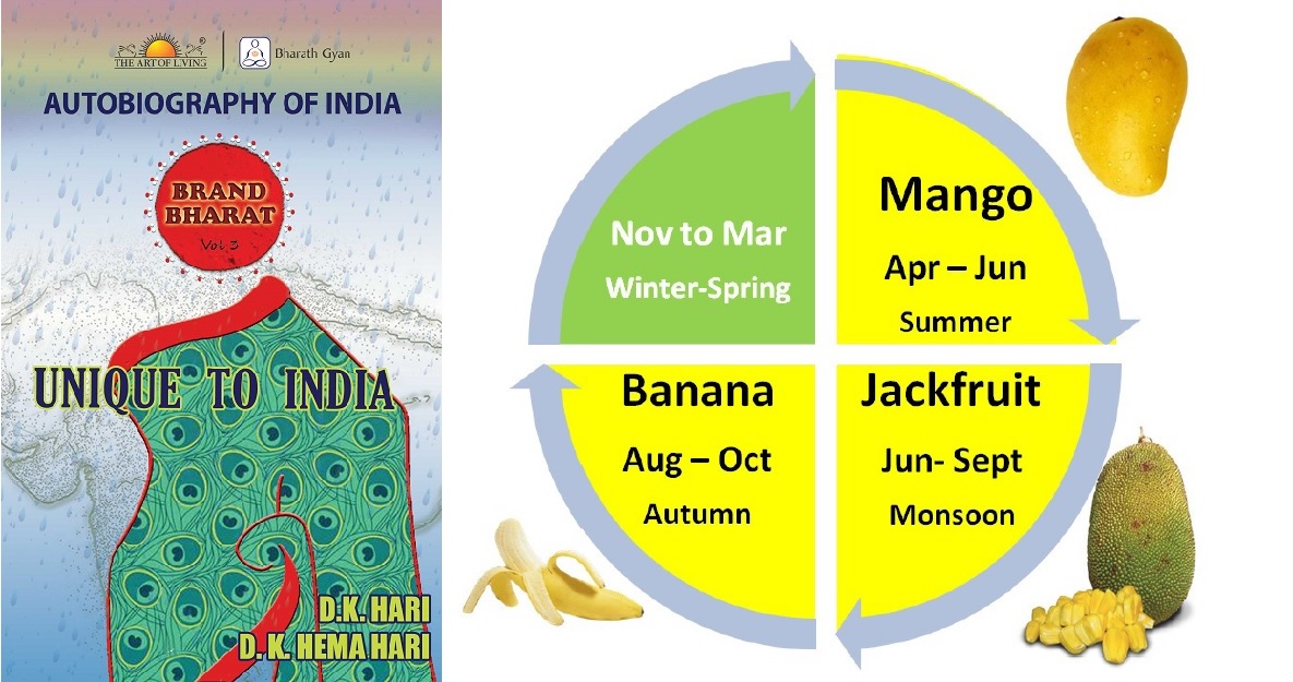 • Mangoes during the summer from April to June,• Jackfruit after the mangoes, during monsoon, from June to September and• Bananas, though they grow through the year, the peak season for Bananas in India is from August to October typically.