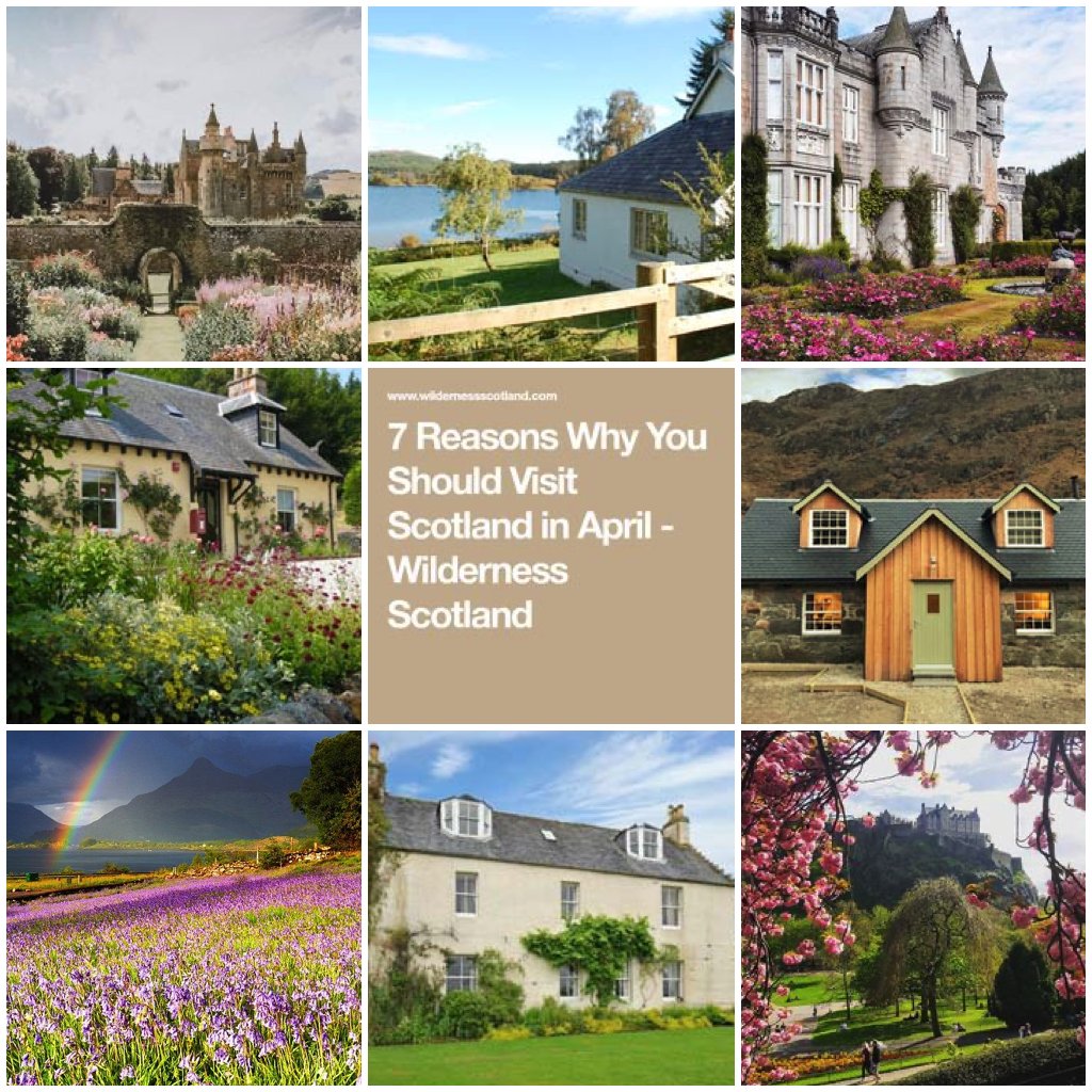 Which Cottage tweet media