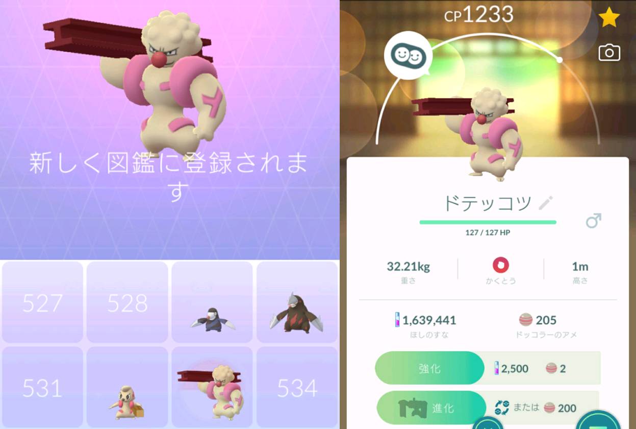 溝口 泰成 ドッコラーのアメが 250個たまったので 個体値98ドッコラーを 個体値98ローブシンにまで 一気に進化させました ドテッコツを進化させるとき 交換ならアメ無しだよ ってメッセージ出たけど ３枚目 交換すると個体値変わっちゃうから 結局