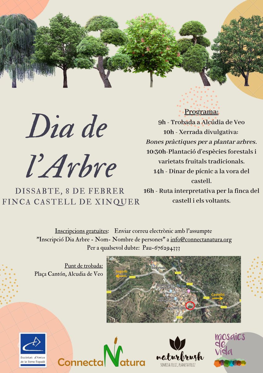 ConnectaNatura's tweet photo. Dia de l’Arbre a Xinquer - PN Serra d’Espadà

#diadelarbre #espadàn #RN2000 #CdR #mosaicsdevida 
Con la ayuda de @SASE_Espada y @naturbrush 
#soydenaturbrush #gestossostenibles #gestoscotidianos https://t.co/cBrV662CEc