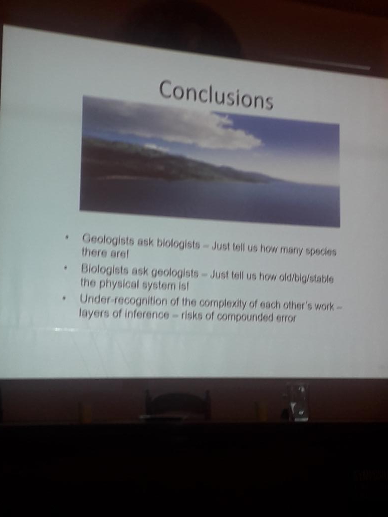 ilaria mazzini tweet media