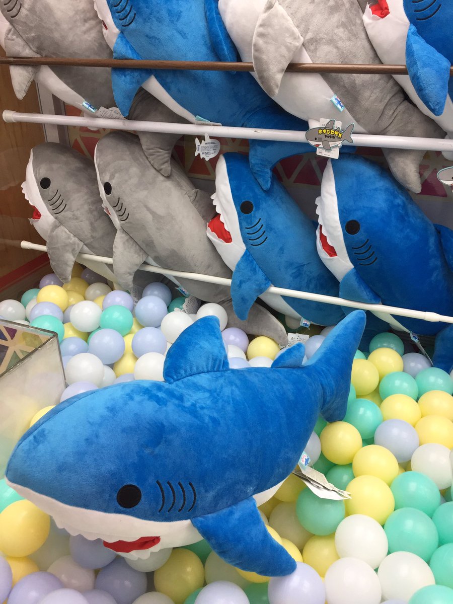 アミューズ入荷景品 ホオジロザメでかBIGぬいぐるみ 全2種 入荷致して