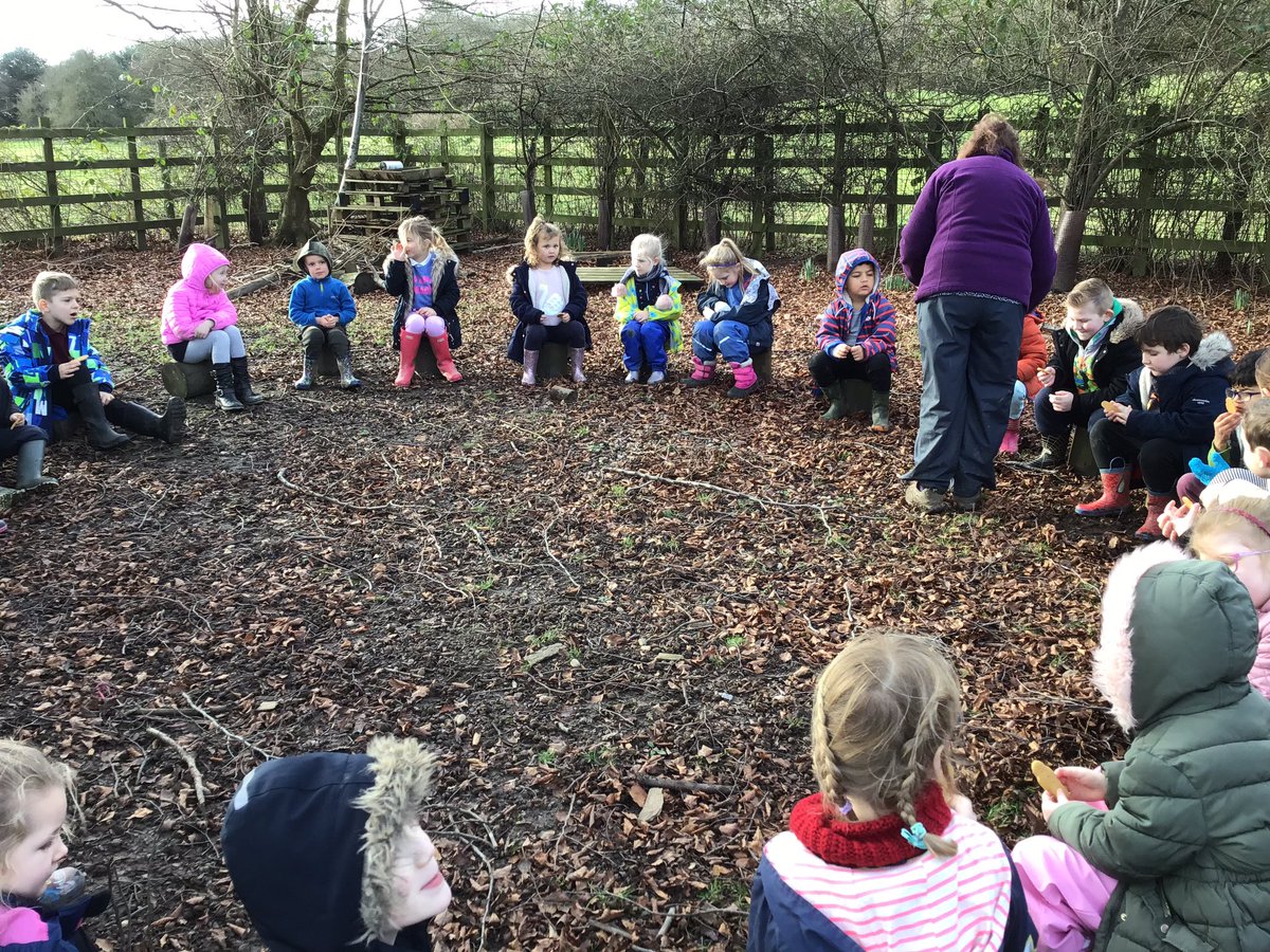 Robins and Blackbirds are going to make a shelter for their polar animal!