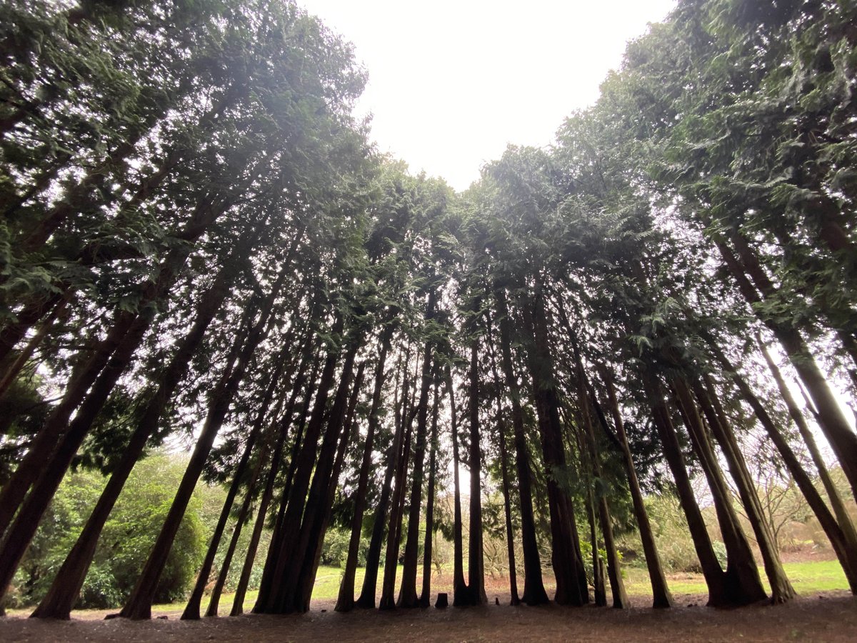 welgeti's tweet photo. Does your office campus have an ancient wood and nature trail?.... Because at the Southampton Science Park we do. 
Contact  @russellmogridge myself for more details. #officespace #officetolet #staffwellbeing #VWHereToHelp https://t.co/KoUu5BM7wc