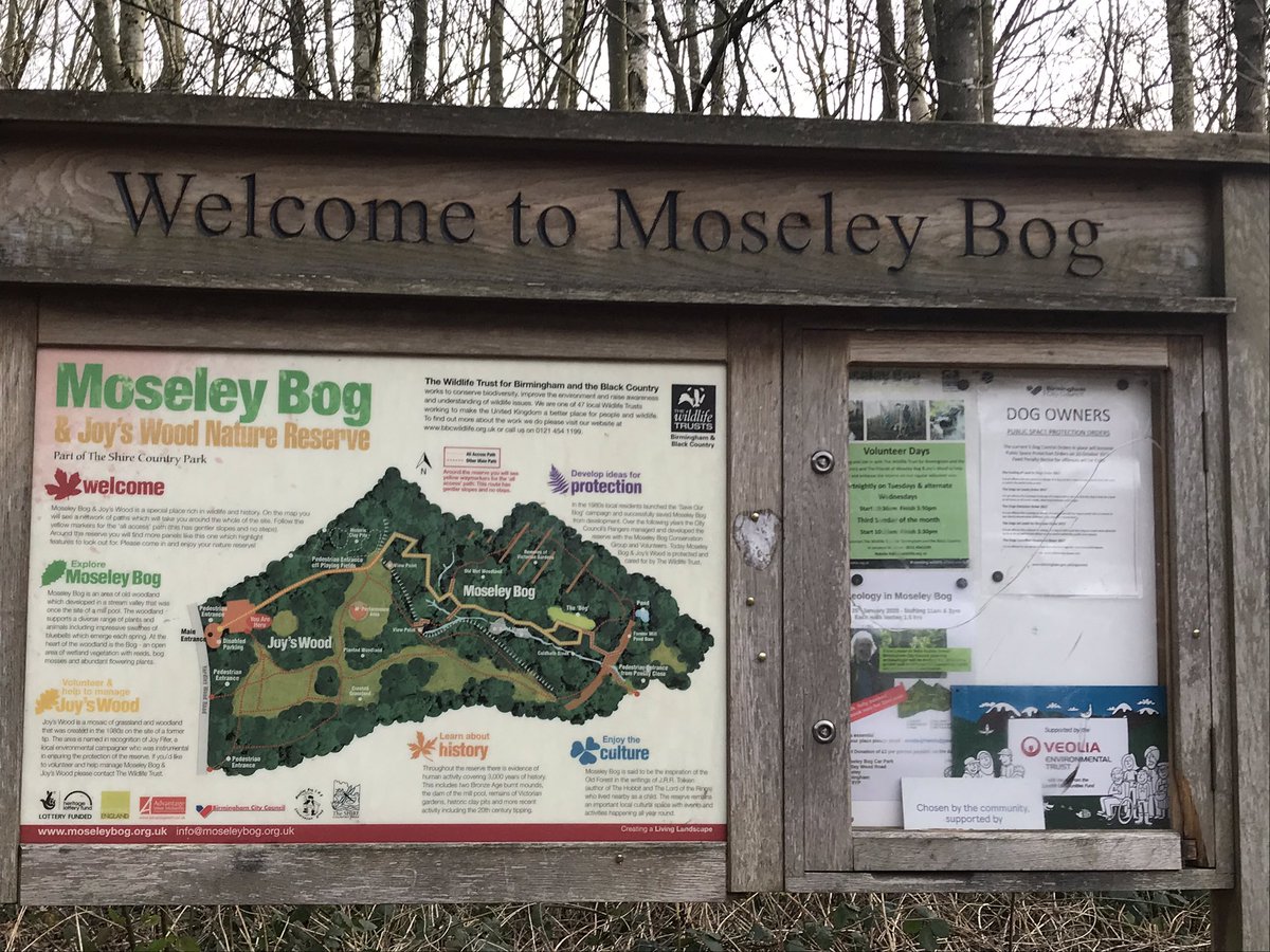 MrsS_Eden's tweet photo. We’re having a brilliant time in Moseley Bog! We’re gathering ideas for poetry. ‘I can see rust-coloured leaves and hear a rasping magpie chorus!’@AndertonPark https://t.co/0YElMDAXkK