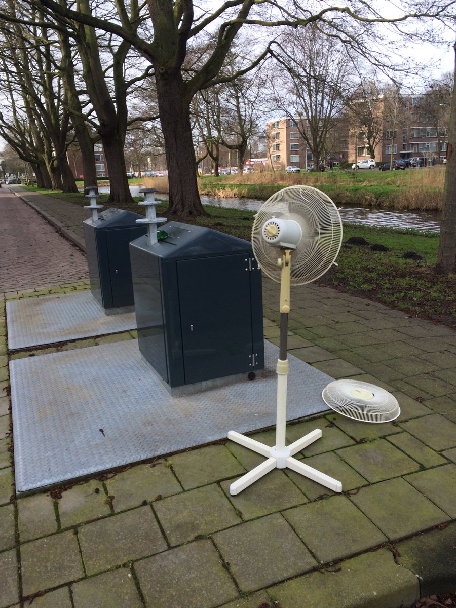 Rebel with a cause tweet media