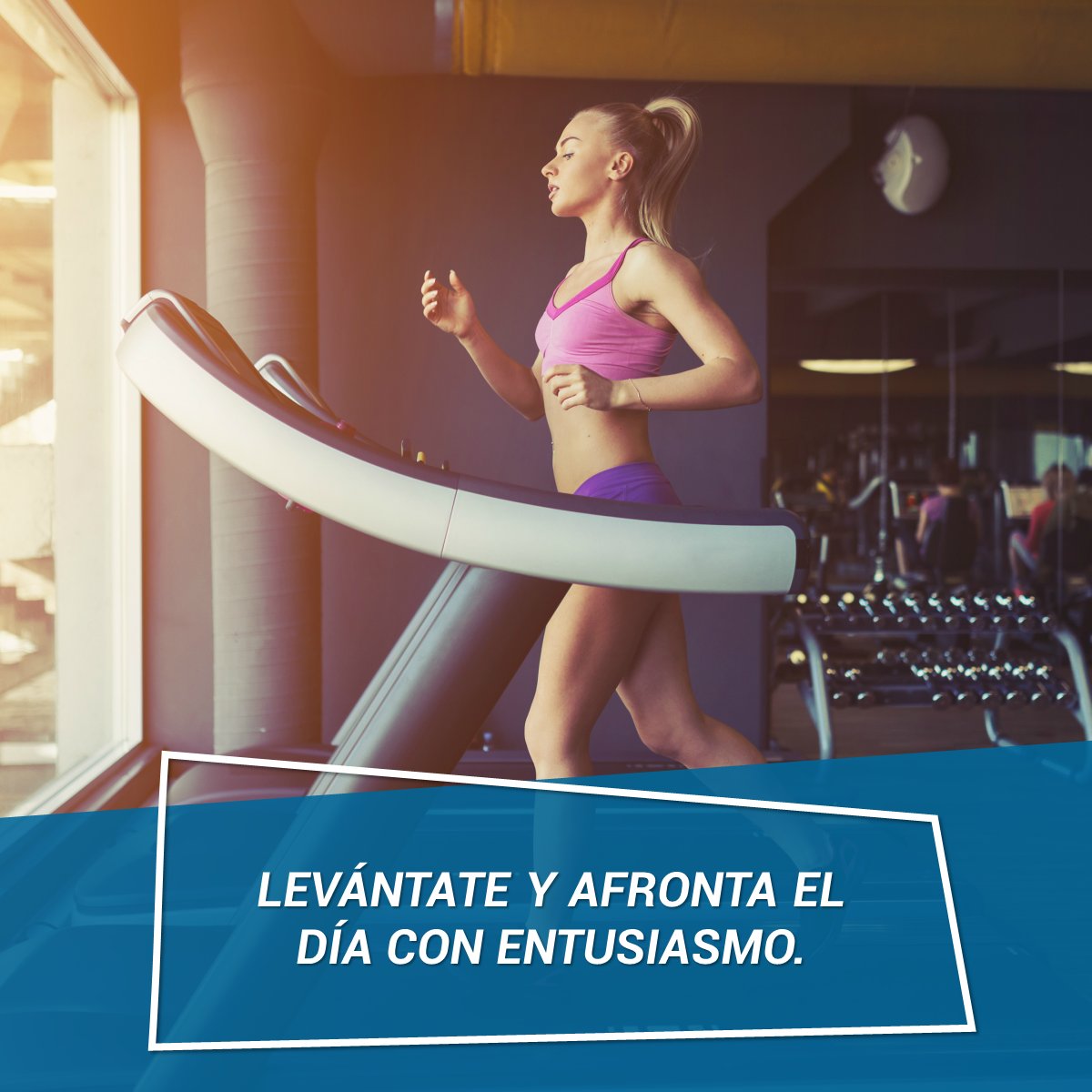 aqaprunos's tweet photo. ¡A por el #Lunes chic@s! 💪😁 https://t.co/FQuTHRmzJ9