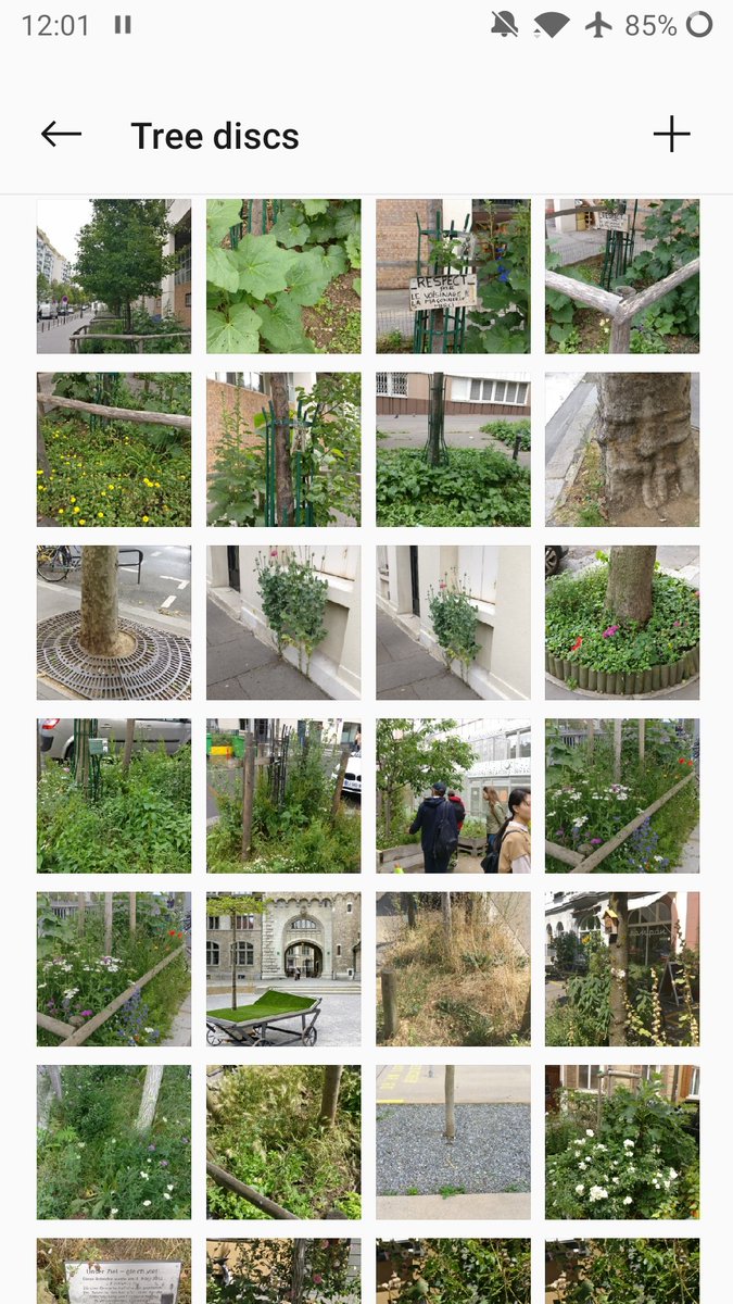 @jonburkeUK @TheStreetTree @gideoncorby @andyheald @JeremyDBarrell @David_J_Elliott @TreesforCities @Labourstone One of my favorite (and way too large) digital albums is my collection of tree discs/pits I've seen in different cities. The good and the bad