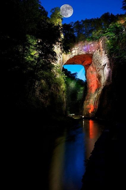 TLo02's tweet photo. Simplicity is natures first step, and the last of art.
#PhilipJamesBailey
#nature #art #simplicity #naturequotes #NaturePhotography #naturewisdom #quotesoftheday #amazingview #colorfulperthday https://t.co/MQLqAXnYAs